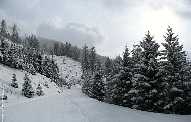 schoenalmjoch08-006