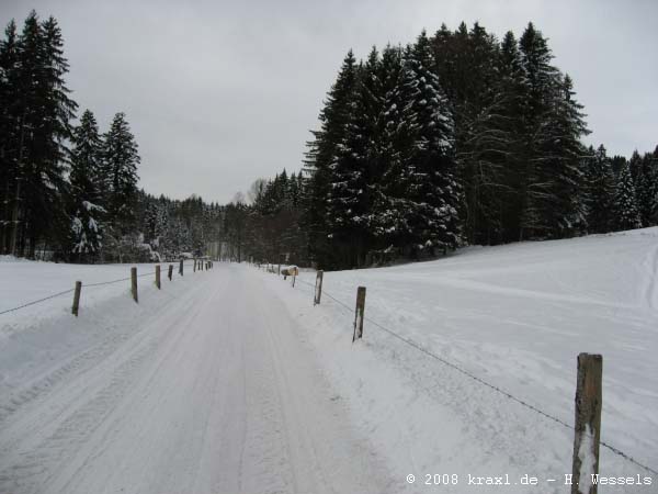 zwiesel08-002