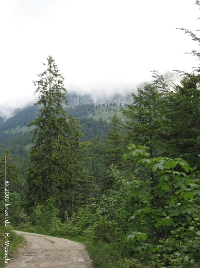 benediktenwand09-010
