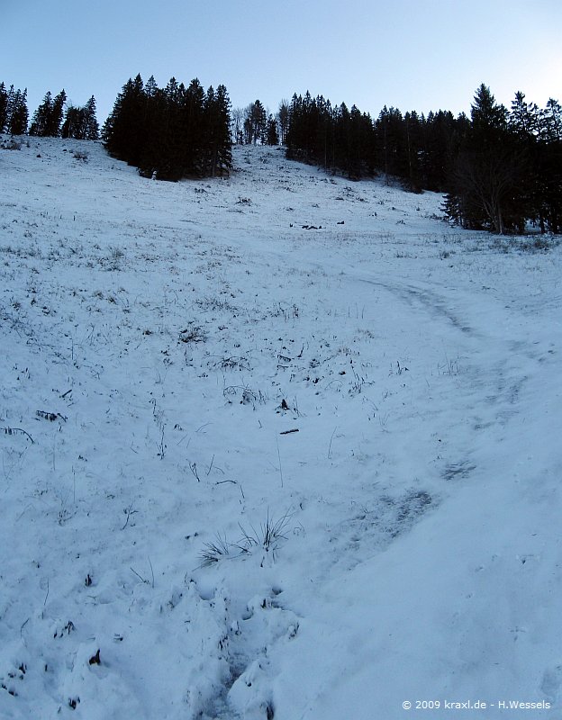 breitenstein09-007