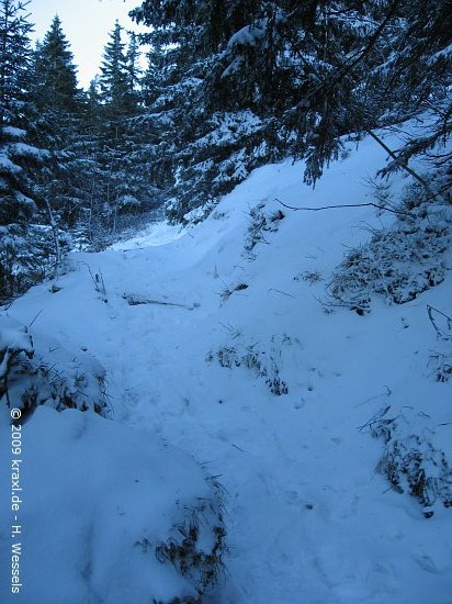 breitenstein09-018