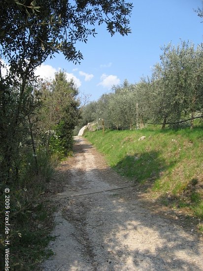 monte-brione09-024