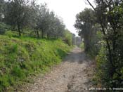 monte-brione09-023