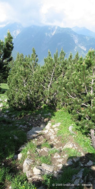 schafreuter09-009