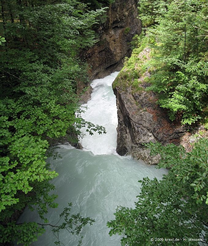 schafreuter09-052