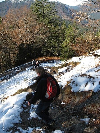 schildenstein09-056