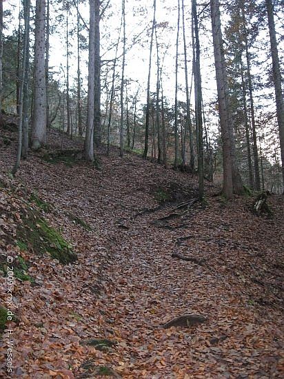 schildenstein09-058