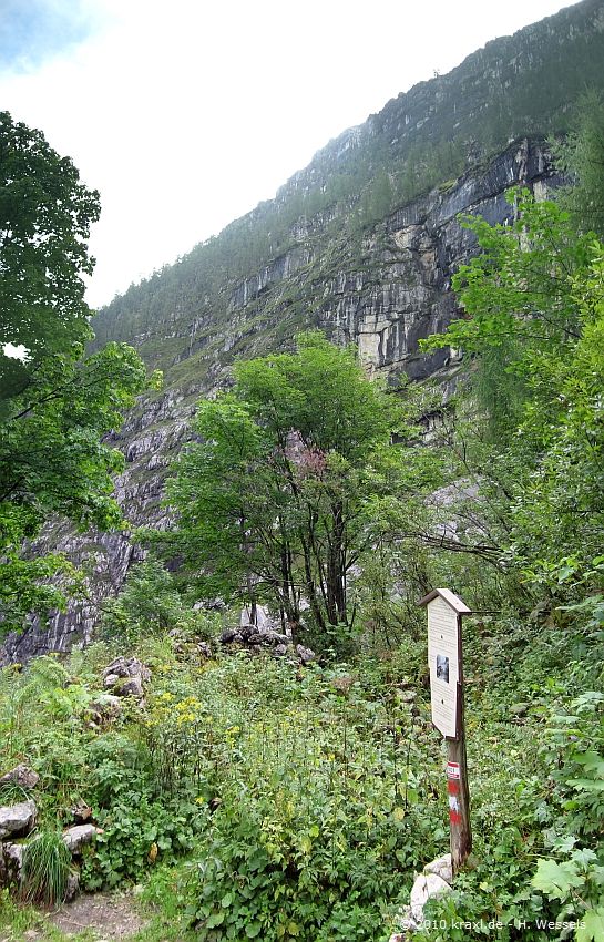 ochsenhorn10-004