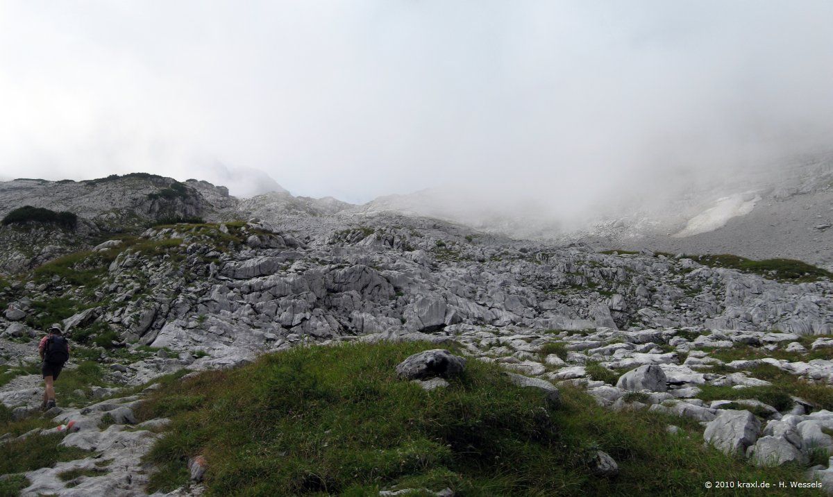 ochsenhorn10-017