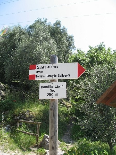 sallagoni10-004