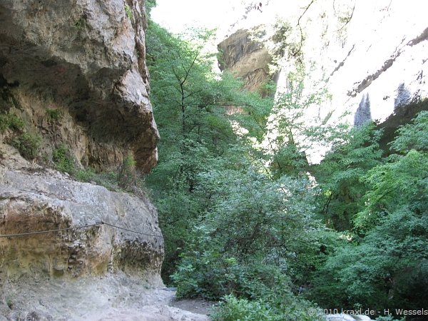 sallagoni10-019