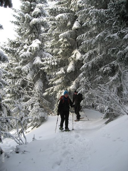seekarkreuz-032