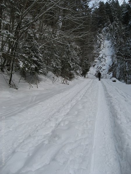 seekarkreuz-062