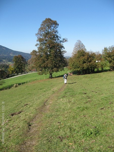 breitenstein11-055