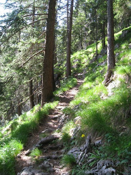 karwendel-noe.steig-11-045