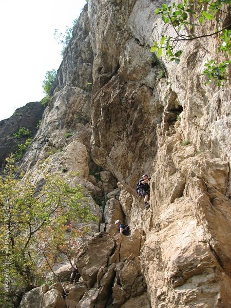 monte-albano-mori-11-026