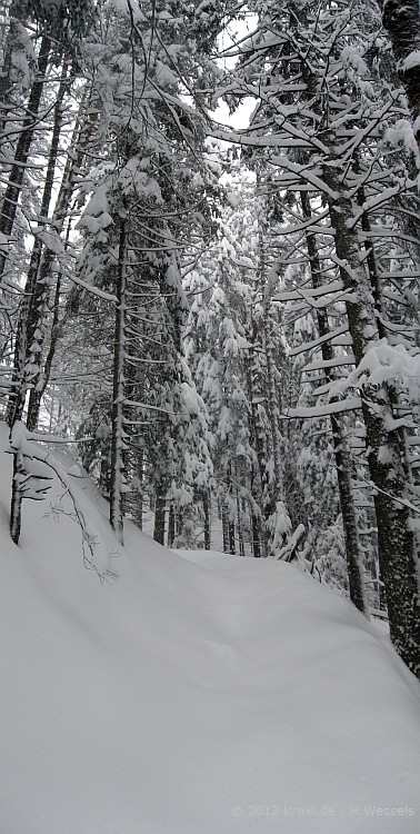 rehleitenkopf12-014