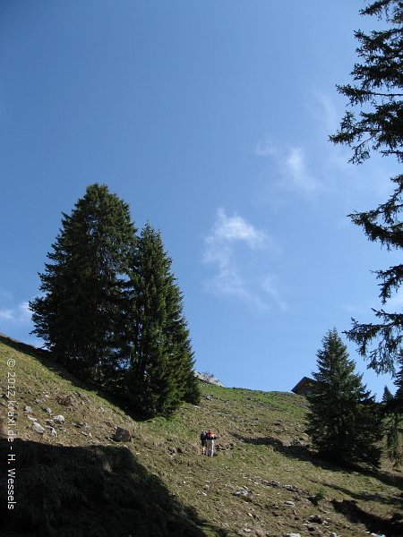 rosstein12-001
