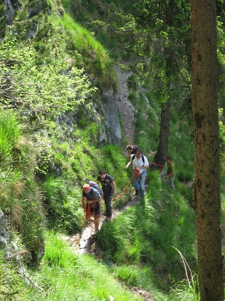 gscheukopf13-022