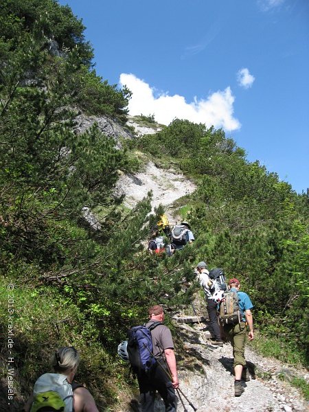 gscheukopf13-033