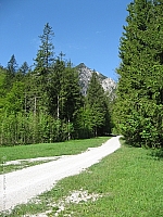 heimgarten-001.jpg