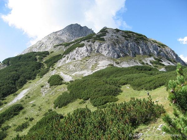 handschuhspitze14-043