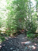 leonhardstein14-008.jpg