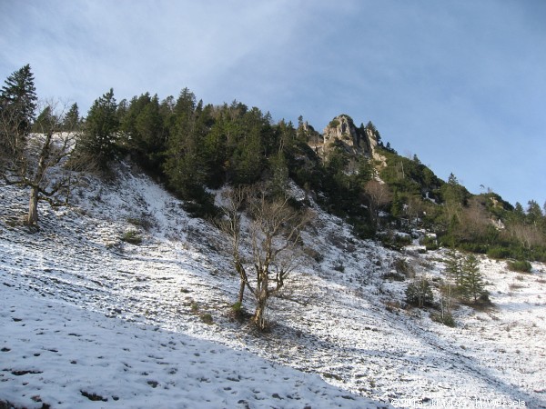 wasserspitz-007.jpg