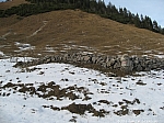 wasserspitz-047.jpg