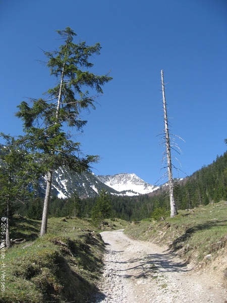 Aiplspitze-010.jpg