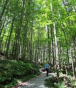 eiskapelle-roethbachfall-016.jpg