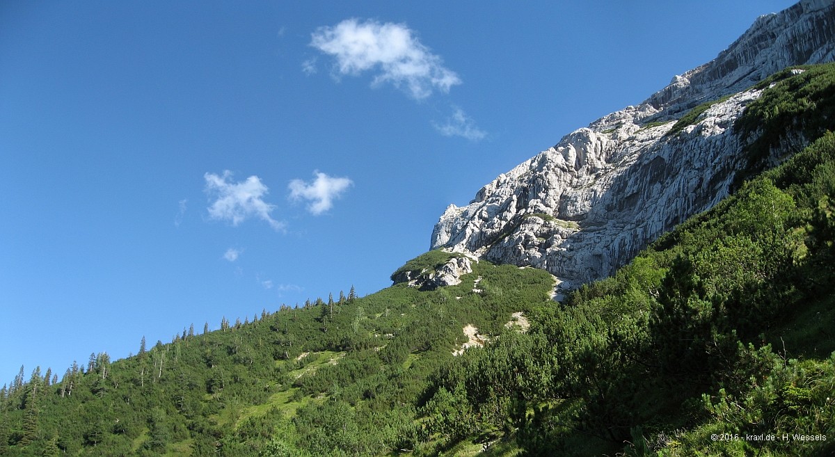guffert-009.jpg