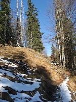 hochalm-010.jpg