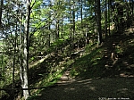 hochgern-130.jpg