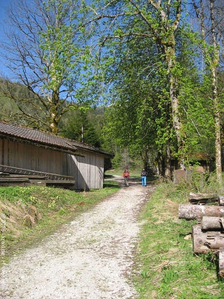 hoerndlwand-001.jpg