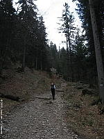 jochberg-014.jpg