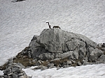 kahlersberg-schneibstein-102.jpg