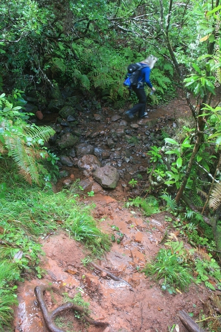 lagoa-do-vento-risco-wasserfall-25-fontes-020.jpg