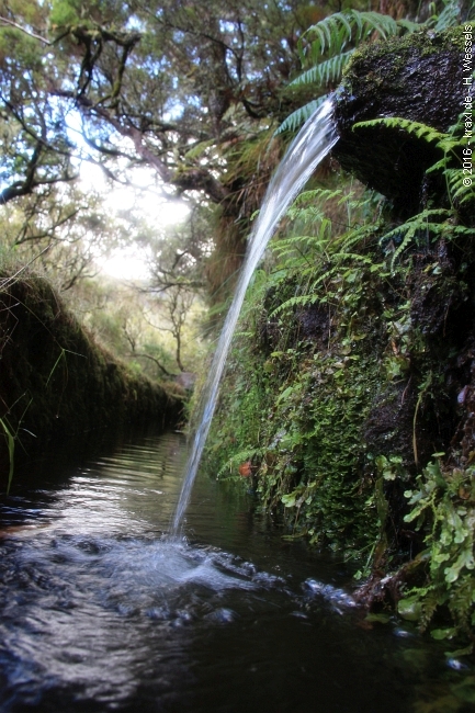 lagoa-do-vento-risco-wasserfall-25-fontes-034.jpg