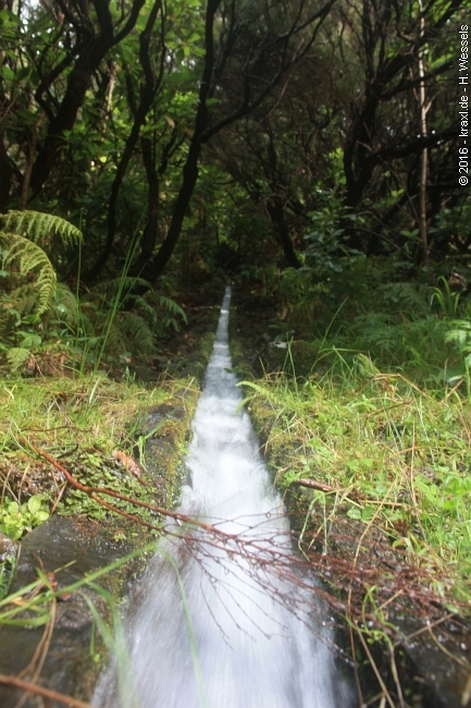 lagoa-do-vento-risco-wasserfall-25-fontes-046.jpg