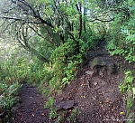 lagoa-do-vento-risco-wasserfall-25-fontes-021.jpg