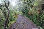 lagoa-do-vento-risco-wasserfall-25-fontes-033.jpg