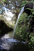 lagoa-do-vento-risco-wasserfall-25-fontes-034.jpg