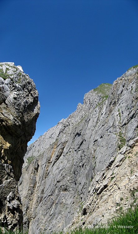 steinfalk-017.jpg