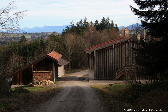 taubenberg-012.jpg