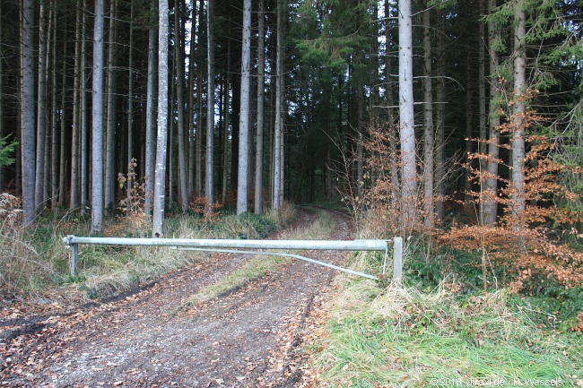 taubenberg-016.jpg