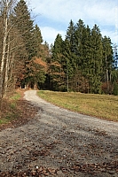 taubenberg-009.jpg