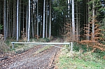 taubenberg-016.jpg