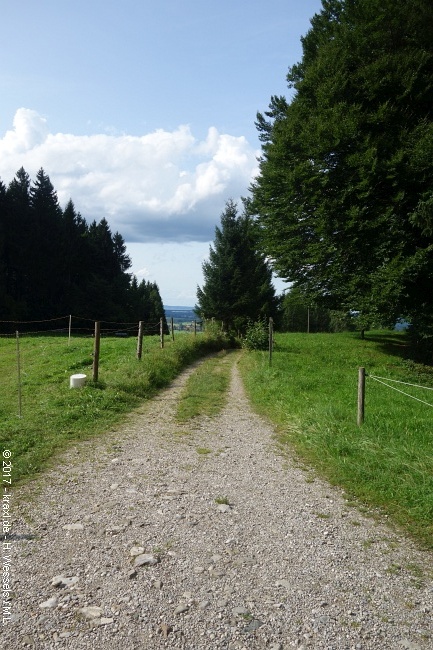 benediktenwand-046.jpg