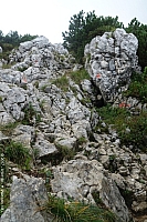 benediktenwand-024.jpg